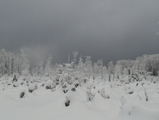 Winterlandschaft 3.jpg